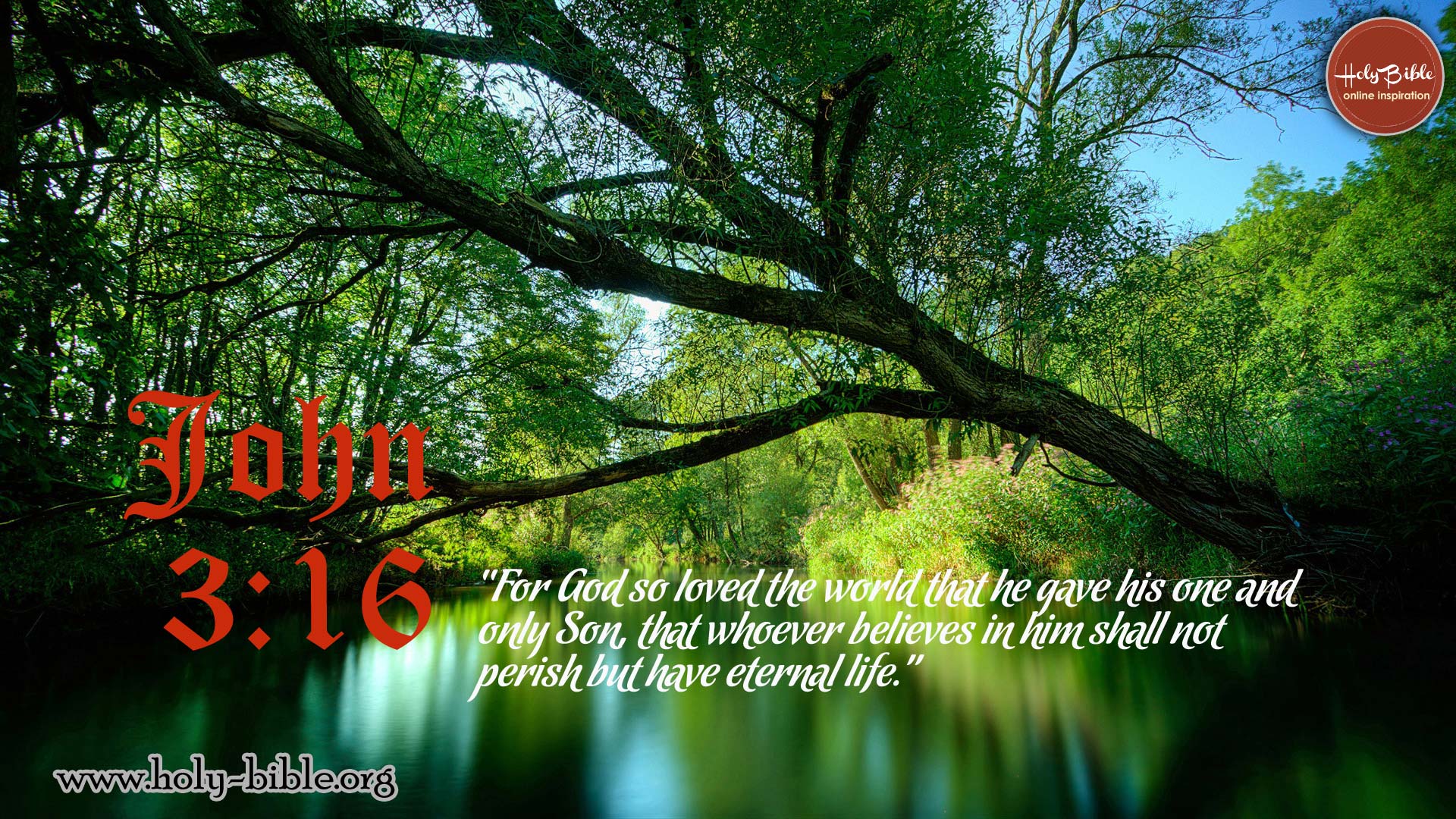 Bible Verse of the day – John 3:16 | Holy Bible